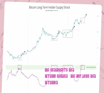 Bitcoin long term chart