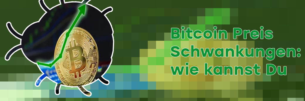 Bitcoin schwankungen