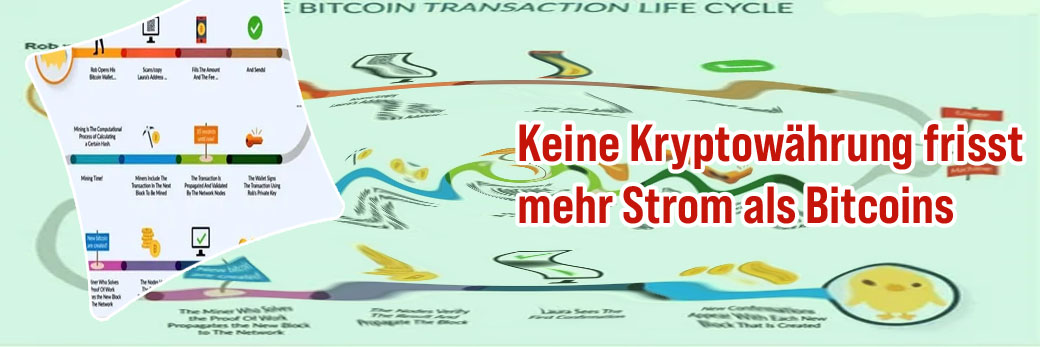 Bitcoin transaktion anzeigen